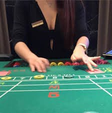 betgo vip